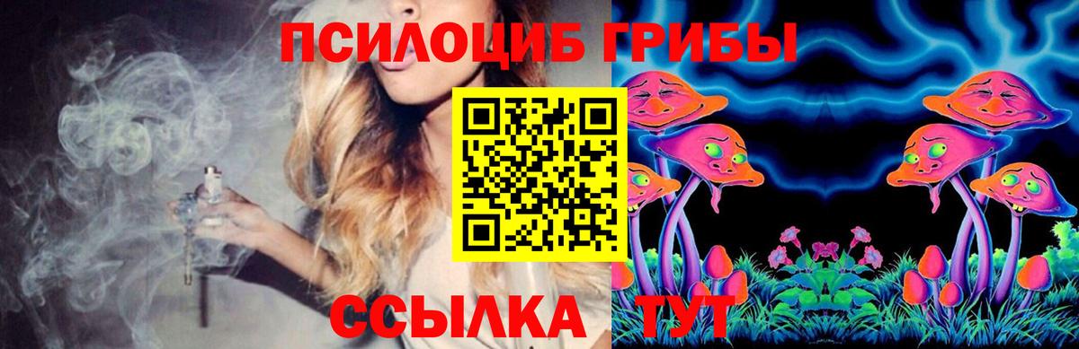Галлюциногенные грибы Psilocybine cubensis Новодвинск
